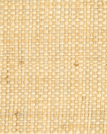 Fine-Mesh Raffia Weave Natural | Maison Douineau