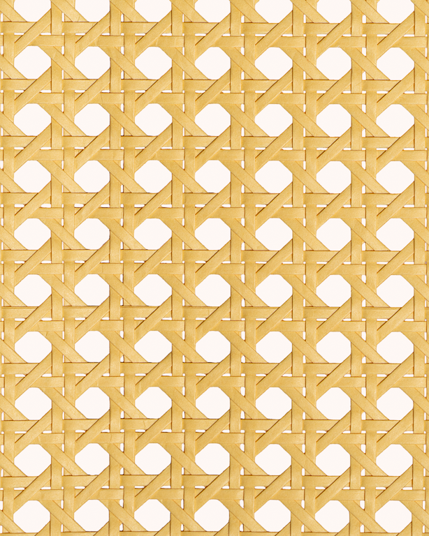 Paper Webbing 1/2 Mesh Natural | Maison Douineau