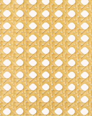 Paper Webbing 1/2 Mesh Natural | Maison Douineau