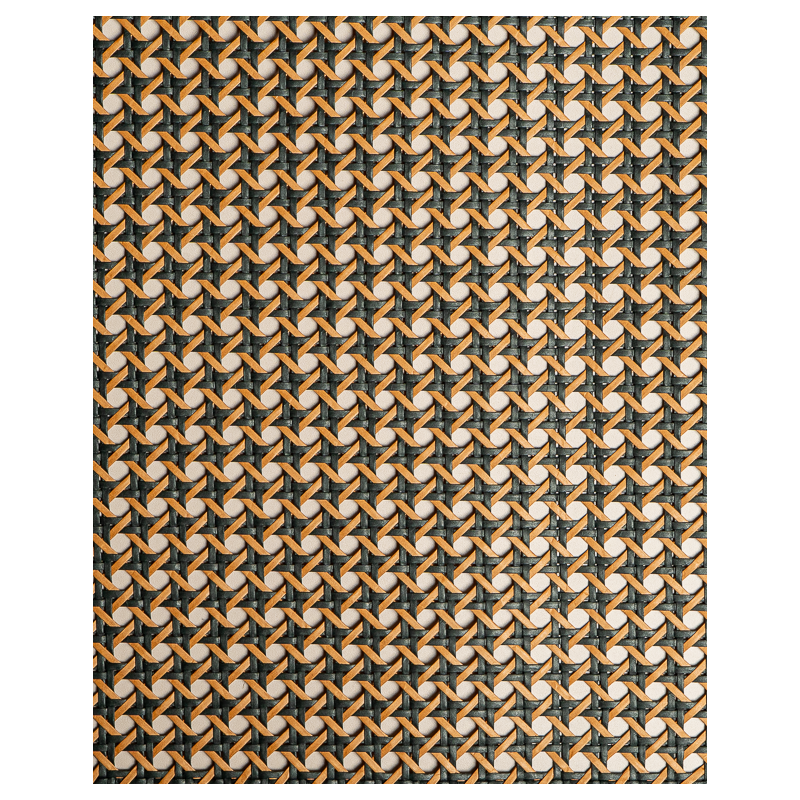 Paper Webbing 1/2 Mesh Black & Caramel | Maison Douineau