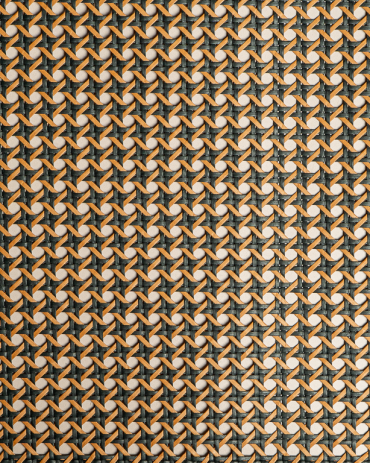 Paper Webbing 1/2 Mesh Black & Caramel | Maison Douineau
