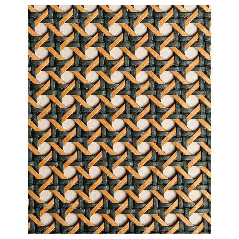 Paper Webbing 1/2 Mesh Black & Caramel | Maison Douineau