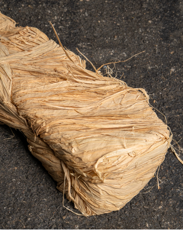 Florist Raffia – Grafting | Maison Douineau