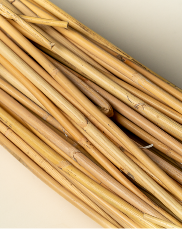 Rotin Poluet Blanc 1er Choix – Tressage | Maison Douineau