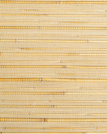 Store Bambou Shizen | Maison Douineau