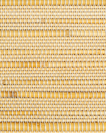 Store Bambou Shizen | Maison Douineau