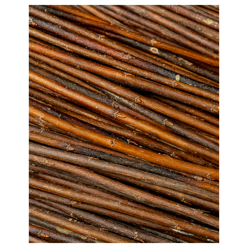 Amber Raw Willow – Alba Vitelina | Maison Douineau