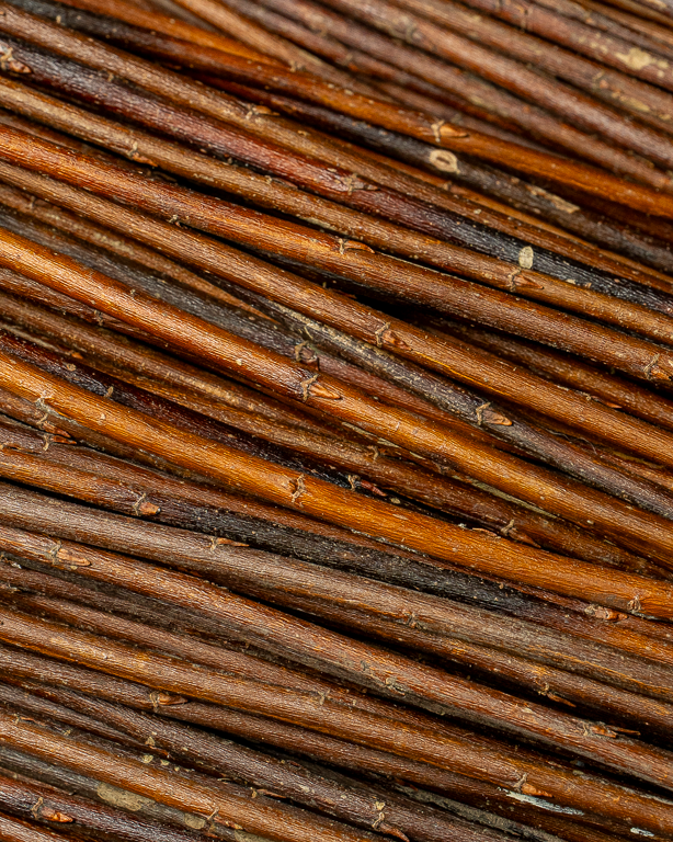 Amber Raw Willow – Alba Vitelina | Maison Douineau