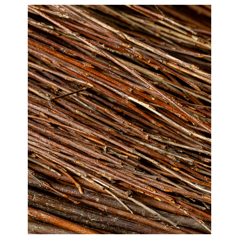 Amber Raw Willow – Alba Vitelina | Maison Douineau