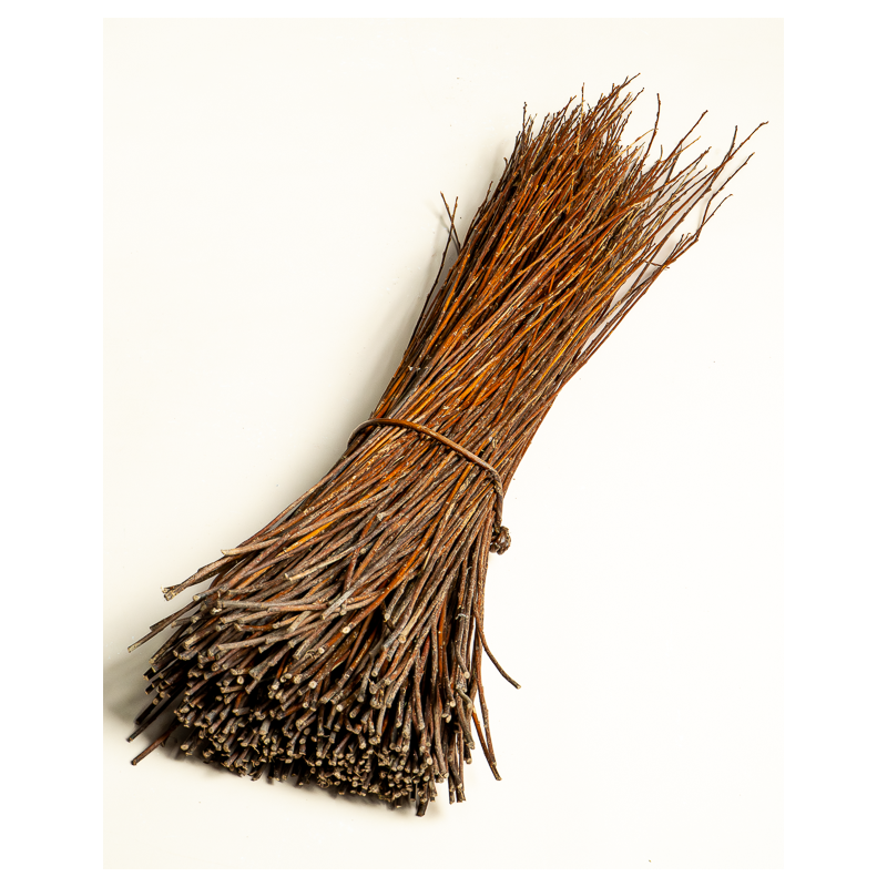 Amber Raw Willow – Alba Vitelina | Maison Douineau