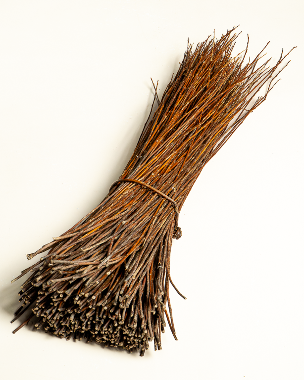 Amber Raw Willow – Alba Vitelina | Maison Douineau