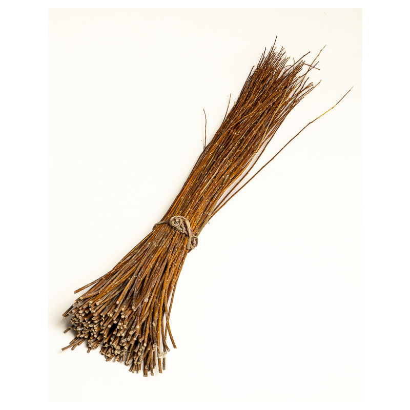 Amber Raw Willow – Alba Vitelina | Maison Douineau