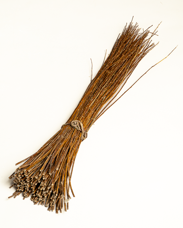 Amber Raw Willow – Alba Vitelina | Maison Douineau