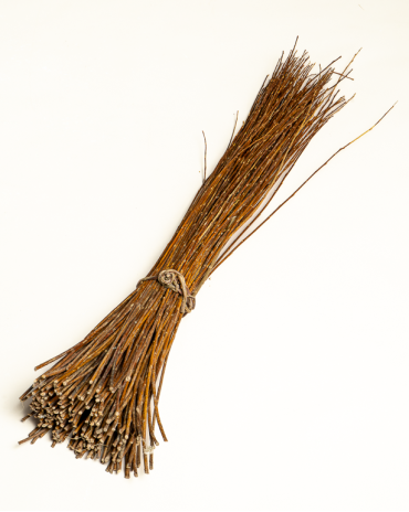 Amber Raw Willow – Alba Vitelina | Maison Douineau