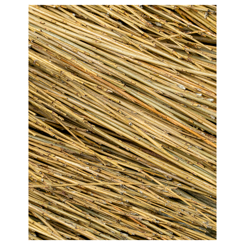 Fine Raw Willow – Purpurea Helix | Maison Douineau