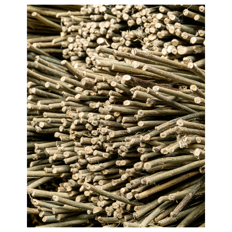 Dark Raw Willow – Purpurea Daphnoides | Maison Douineau