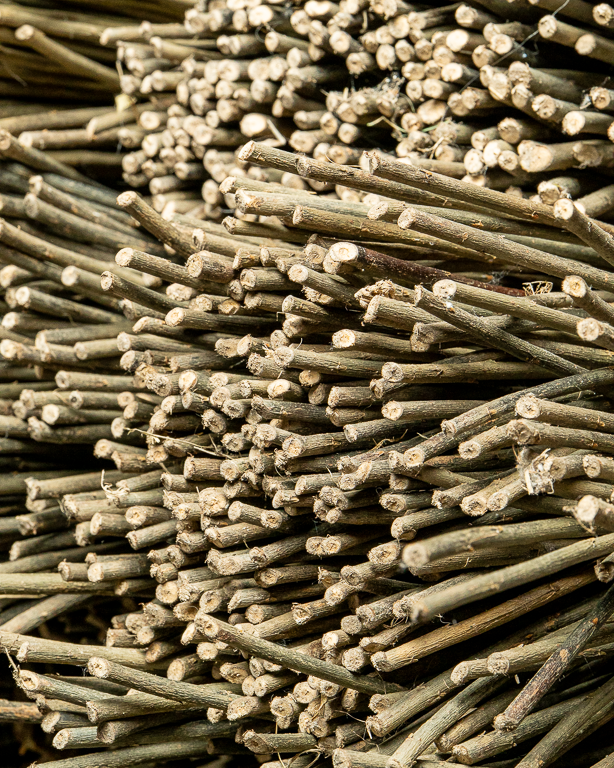Dark Raw Willow – Purpurea Daphnoides | Maison Douineau