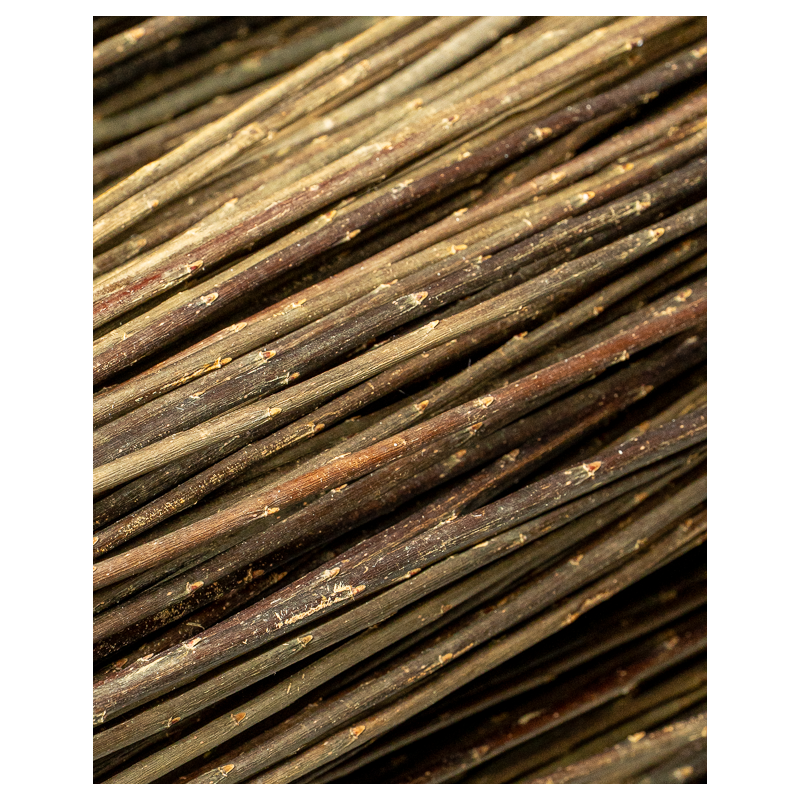 Dark Raw Willow – Purpurea Daphnoides | Maison Douineau