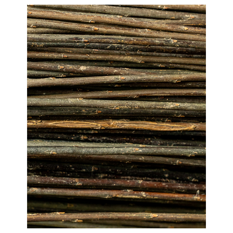 Dark Raw Willow – Purpurea Daphnoides | Maison Douineau