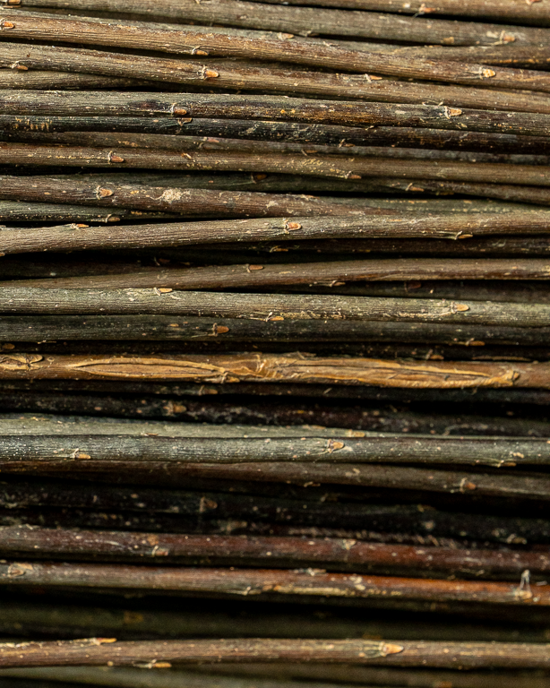 Dark Raw Willow – Purpurea Daphnoides | Maison Douineau