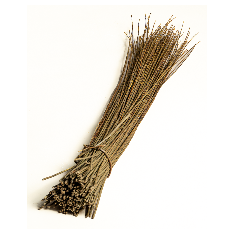 Dark Raw Willow – Purpurea Daphnoides | Maison Douineau