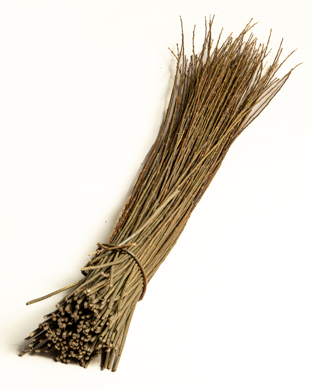 Dark Raw Willow – Purpurea Daphnoides | Maison Douineau