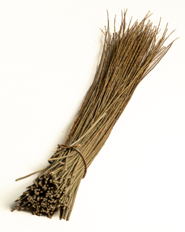Dark Raw Willow – Purpurea Daphnoides | Maison Douineau