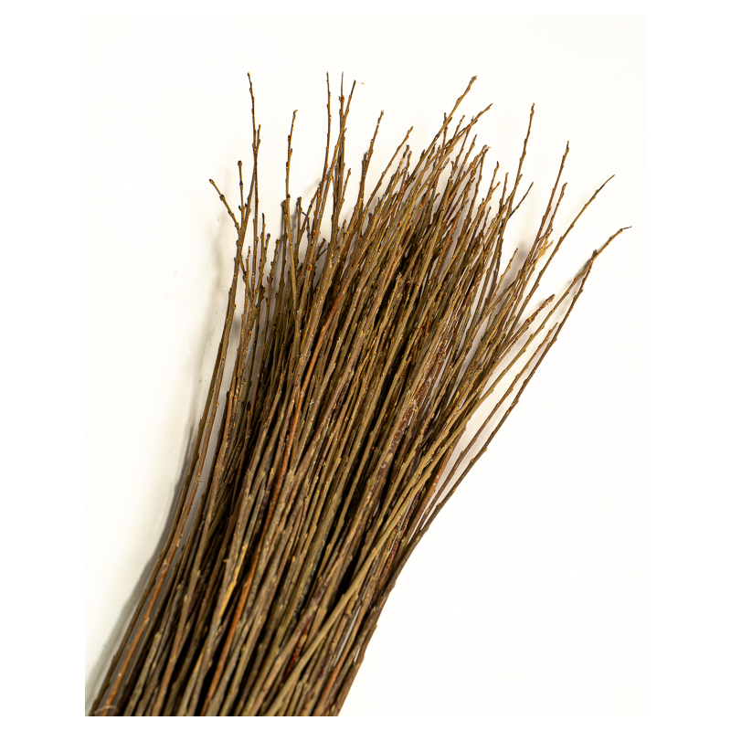 Dark Raw Willow – Purpurea Daphnoides | Maison Douineau