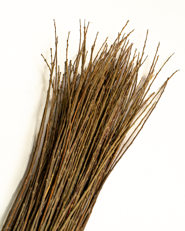 Dark Raw Willow – Purpurea Daphnoides | Maison Douineau