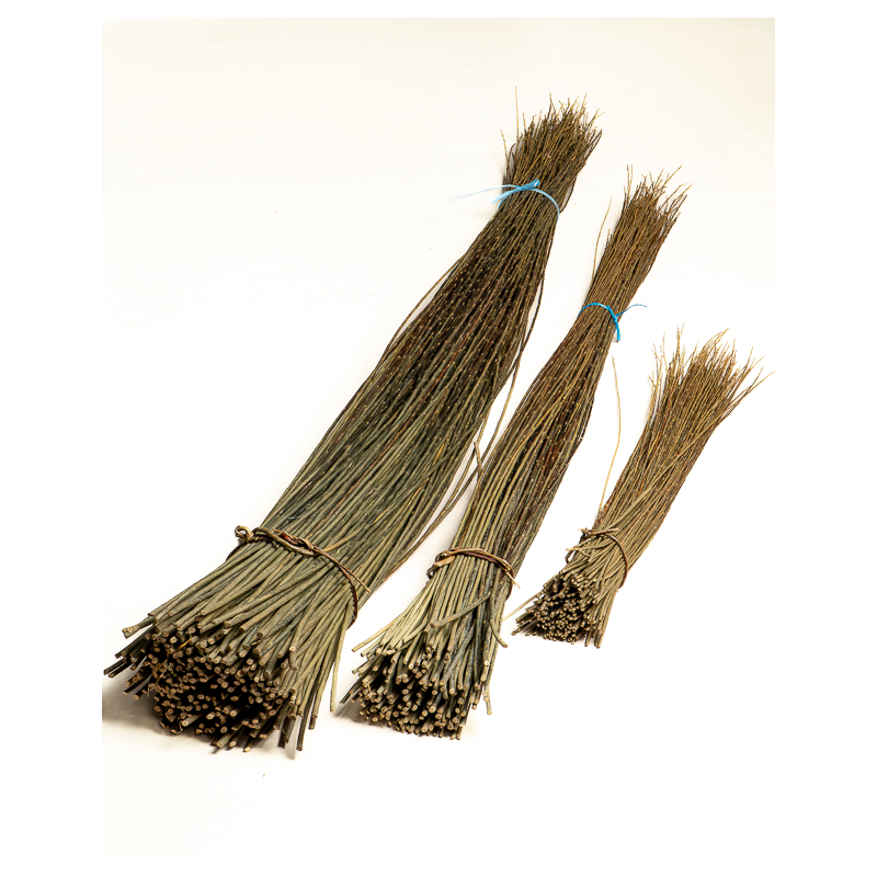 Dark Raw Willow – Purpurea Daphnoides | Maison Douineau