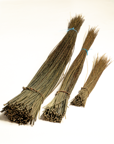 Dark Raw Willow – Purpurea Daphnoides | Maison Douineau