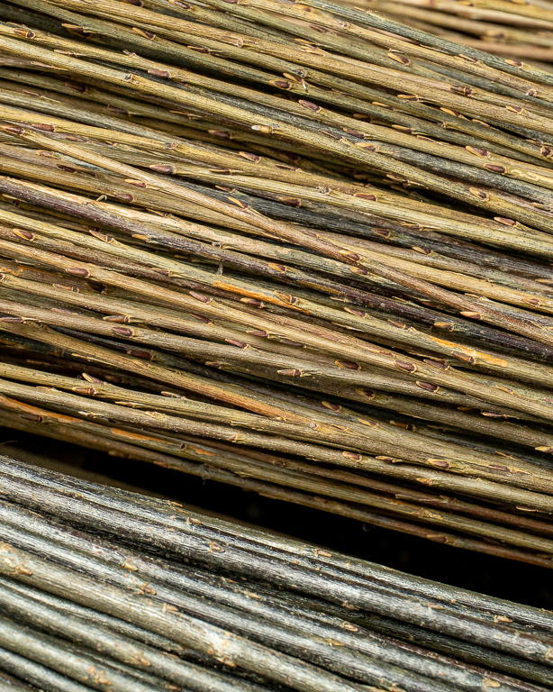 Versatile Raw Willow – Purvil | Maison Douineau