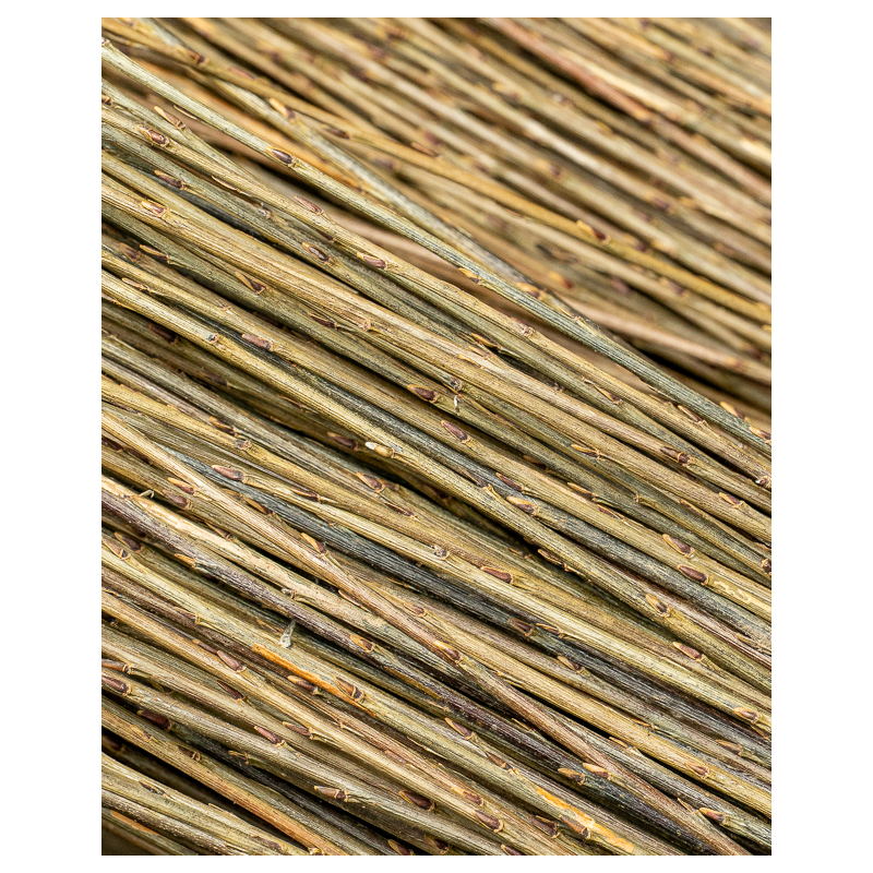 Versatile Raw Willow – Purvil | Maison Douineau
