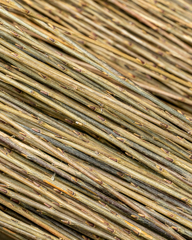 Versatile Raw Willow – Purvil | Maison Douineau