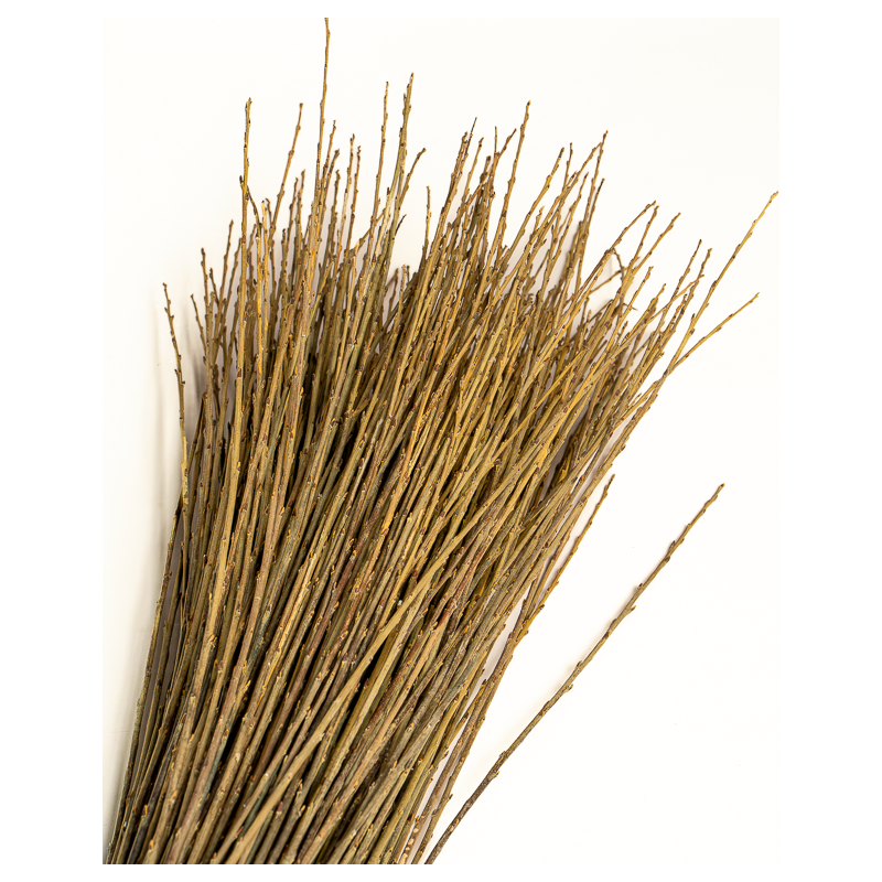 Versatile Raw Willow – Purvil | Maison Douineau