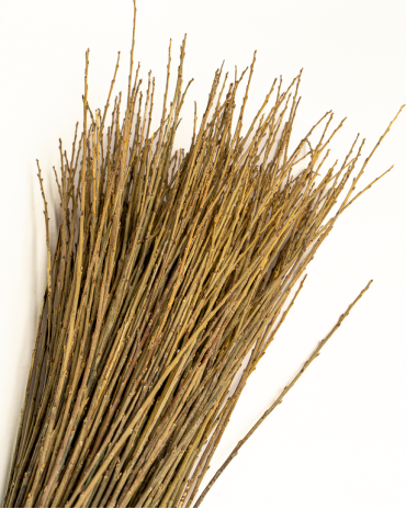 Versatile Raw Willow – Purvil | Maison Douineau