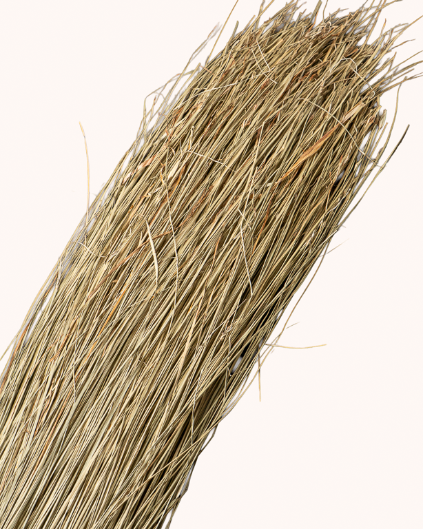 Sea Grass – Natural Fibre | Maison Douineau