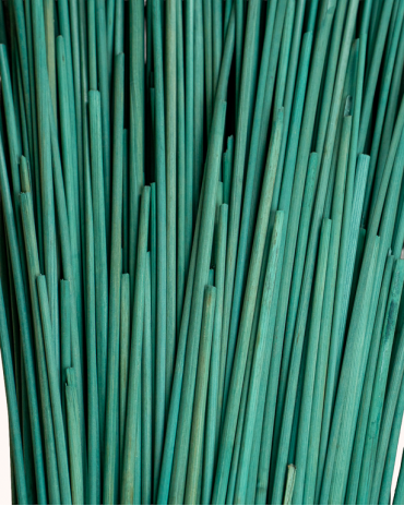 Paille de Seigle Verte – Marqueterie | Maison Douineau