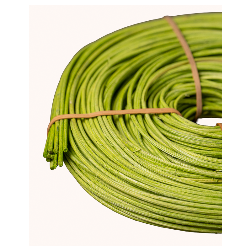 Mint Rattan Pith – Caning | Maison Douineau