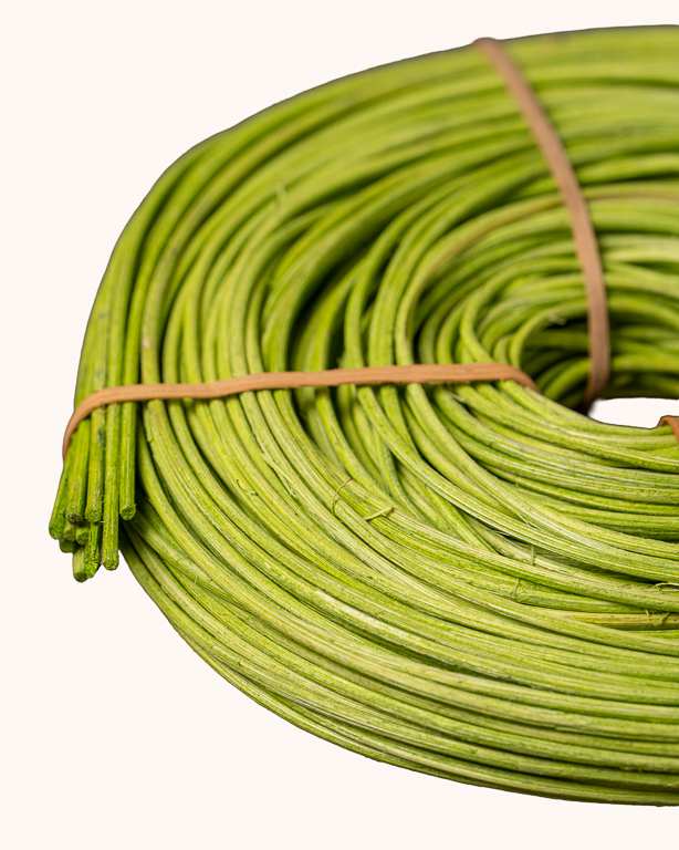 Mint Rattan Pith – Caning | Maison Douineau