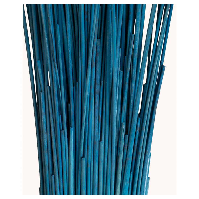 Paille de Seigle Bleue pour le rempaillage