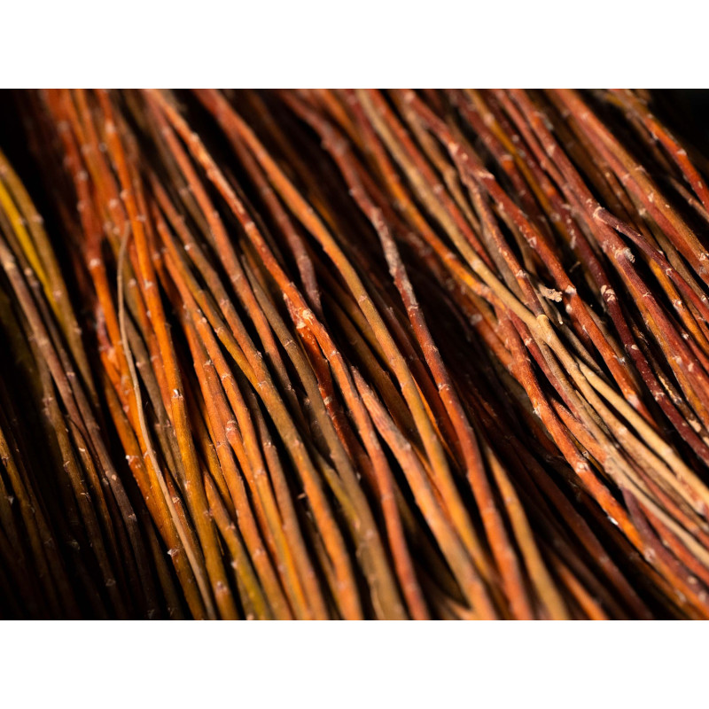 Raw willow 