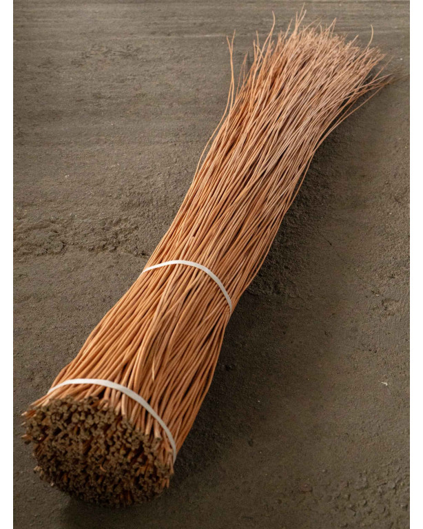 Osier Buff