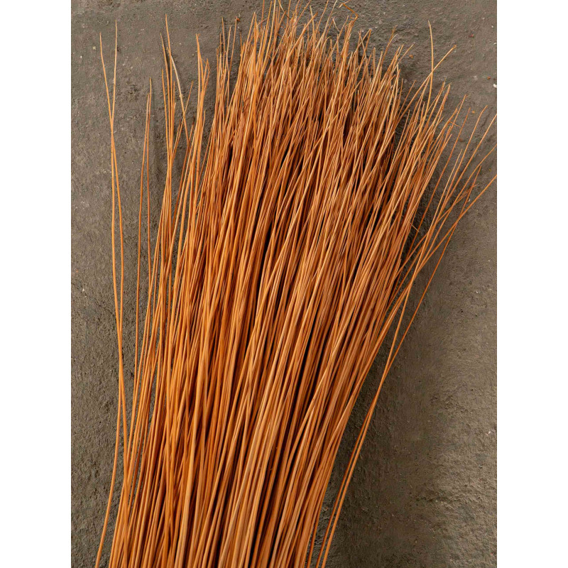 Buff willow 