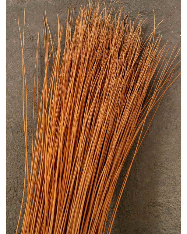 Buff willow 