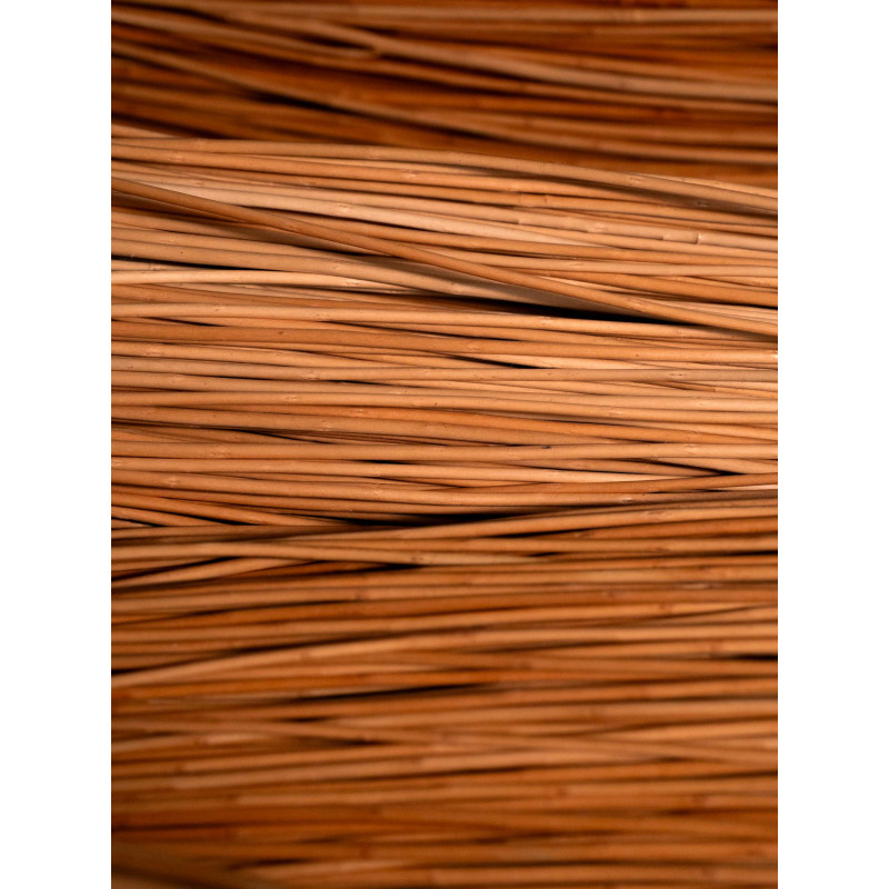 Buff willow 