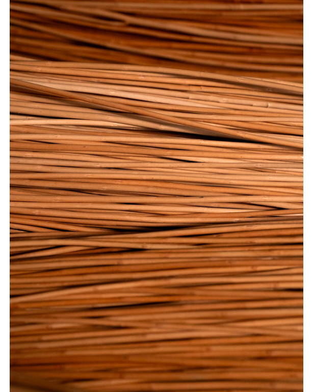 Buff willow 