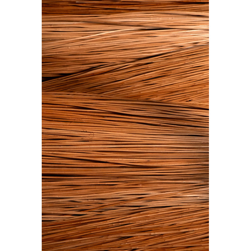 Buff willow 