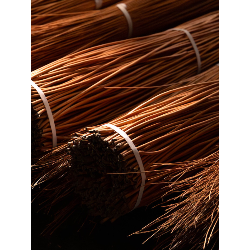 Buff willow 
