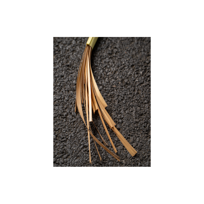 Paille de seigle antiquaire aplanie